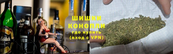 ешки Гусь-Хрустальный