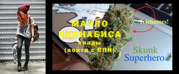ешки Гусь-Хрустальный