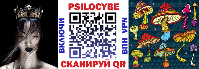 купить цена Новосокольники OMG вход Галлюциногенные грибы Psilocybine cubensis